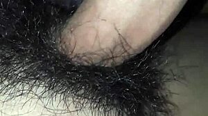 you want me to suck your gay cock, don't you?