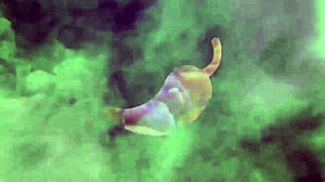 Oh Yeah, Latina Babe Sucks and Fucks on Beach!