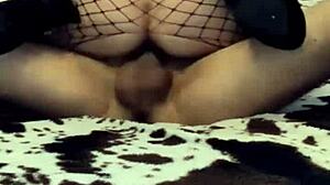 Sexwife teases husband's friend with anal in stockings