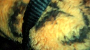 I'm Pleasuring Myself With A Vibrating Toy Intensely