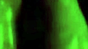 Intense gay sex explodes in Second Life!