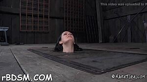 watch free sadomasochism porn with rough blowjobs and fucking horny sluts