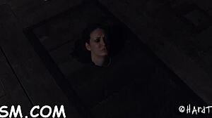 watch free sadomasochism porn with rough blowjobs and fucking horny sluts