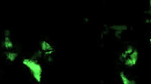 This vintage erotic animation is so retro and fun