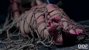 realtor and client humiliate kristy black in dp threesome