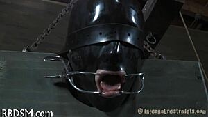 Hardcore Scene Number Five