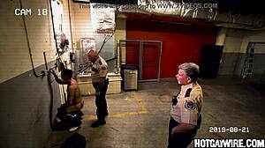 Two gay inmates caught screwing in the office by police