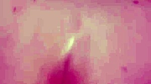 She Begged Me To Bang Her Hard!