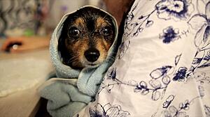 DOS AND DON'TS FOR USING DATING APPS