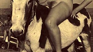 Dark Lantern Entertainment unveils Beauty and the Beast in vintage style.