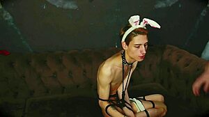 Casey Donovan mouth fucks David Galager in bondage shibari.