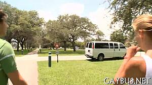 Two homosexual chaps having sex in a casual encounter