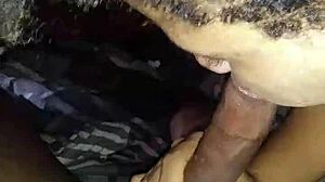 redbone swallows treat