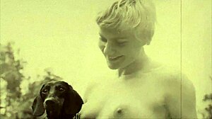 Dark lantern presents beauty and the beast in vintage style