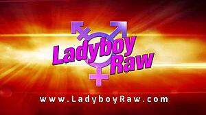 Ladyboy Lidia Enjoys Anal Sex And Blowjob In Hardcore Scene