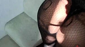 hot ebony babe in nylon pantyhose lets me hump her bent over feet