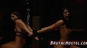 Sydney Cole and Olivia Lua bound in closet