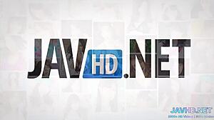 I Want All Of Your Cum Vol 28