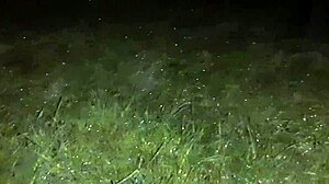 we snuck into an abandoned spot for wet lesbian sex with dirty talk