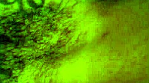 Amateur couple explores assplay and toys while fucking bound