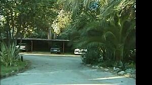 Passionate Encounters In A Hotel Of Desire