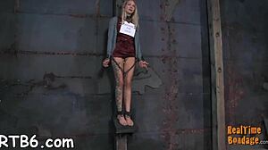 Exploring soft and porn themes in personal experiences