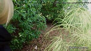 Blonde in pantyhose gives blowjob and fucks in public bushes.