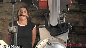 I enjoy playing free sadomasochism games.