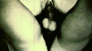 Vintage Erotic Drawings Collection