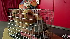 dominating scott rhodes forces maxine x to suck in milf babysitter blowjob with big tits and buttplug toys