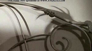 tango sensual - vuelvo hot indian sex