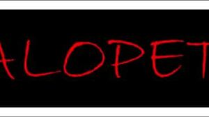 I Took Him From The Party! He Licked My Ass And I Got On All Fours, Holding Back Moans!