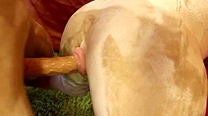 sex robot terminator from the future interacts with a real doll in parody