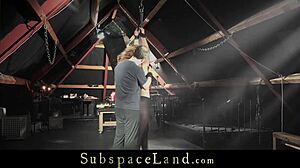 Bondage newbie babe gets her pussy fingered and vibrated while hogtied in closeup.