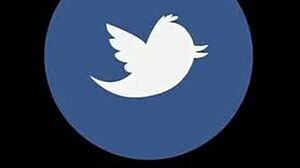 i watched sofi's filthy casting creampie