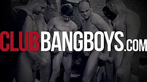 Hey man, wanna bang in this gay brothel tonight?