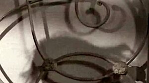 tango sensual - vuelvo hot indian sex