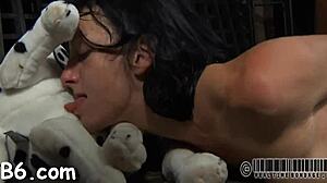 exploring the best sadomasochism videos in detail