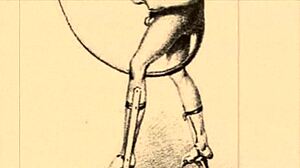 Vintage Erotic Drawings Collection