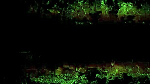 Check out this vintage erotic cartoon illustration