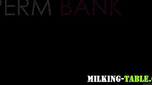 I can't believe I banged the masseuse and she swallowed everything after the wild session.