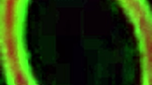 gabby quinteros big tit latina hispanic homewrecker