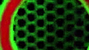 Blondes vicky vette and julia ann enjoy a hard lesbian sex session with dirty talk and cunilingus