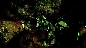 Vintage Erotic Illustration From Antique Comic Book Featuring Anime Hentai Characters