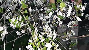 i licked her pussy and fucked a stranger at home.