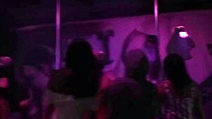 Manhattan bar pera live