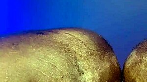 Close up of a big black cock fucking a hairy beaver