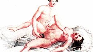 vintage erotic drawings collection