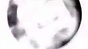 Tgirls XXX Asia Belle Rides Chris’s Hard Cock