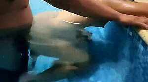 What if a mature man invites you to the pool for latina sex with natural tits?